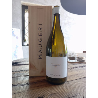 Magnum Catarratto igt terre siciliane 2024